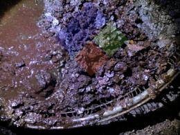 恒力石化AOLO清洗現(xiàn)場(chǎng)